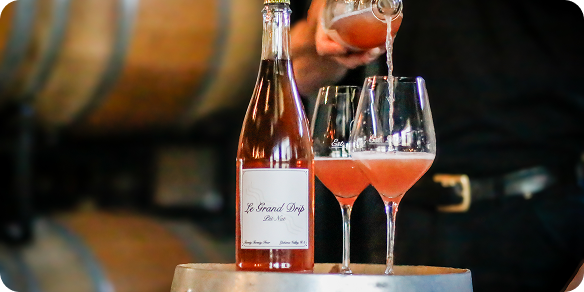 Cabernet Franc 2023 | Old-World Style Red Wine | Cellar Beast